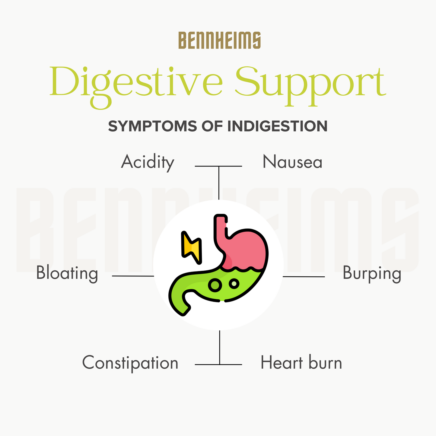 Bennheims Digestive Support