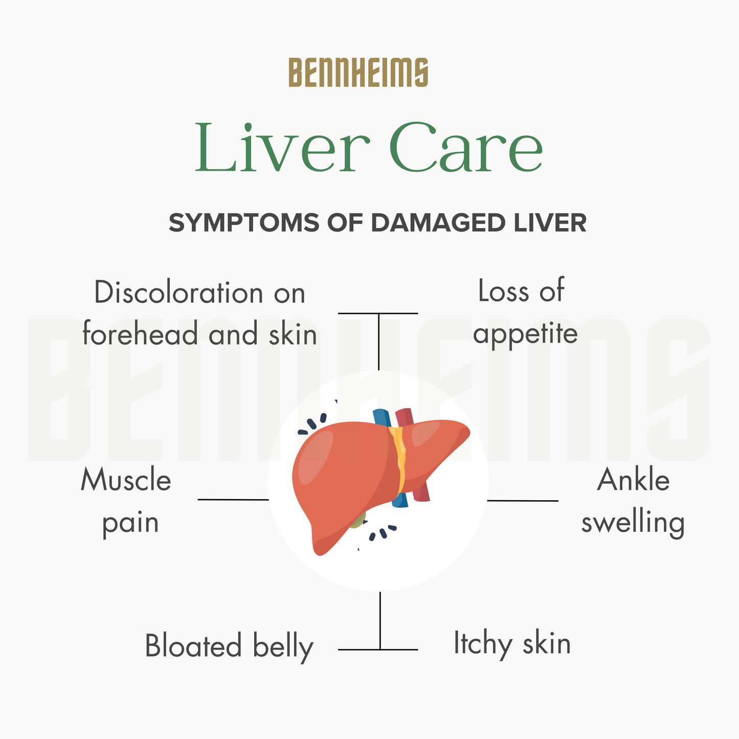 Bennheims Liver Care Ayurvedic Supplement